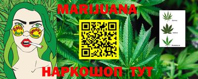 шишки Новодвинск